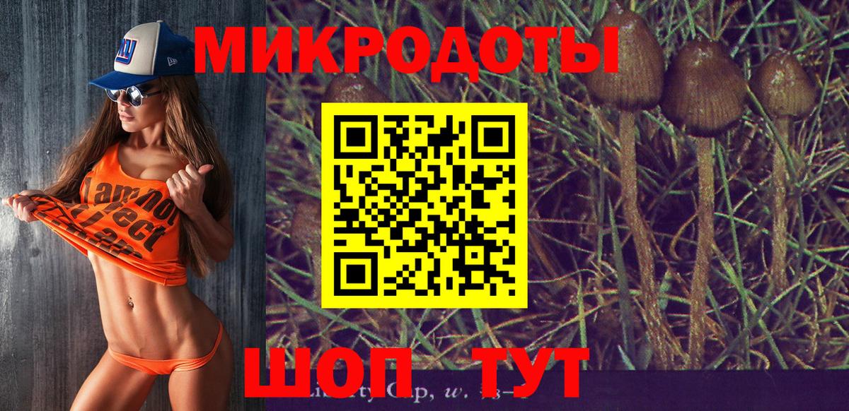 Галлюциногенные грибы мицелий Крымск