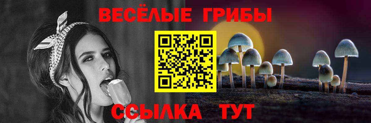 Галлюциногенные грибы Cubensis  Псилоцибиновые грибы прущие грибы  Вход с VPN  Крымск 